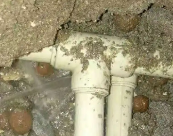 鹤庆测漏水多少钱