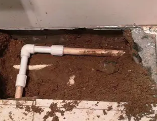 鹤庆测漏水哪家好