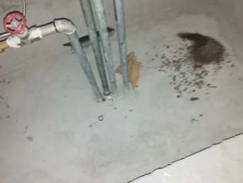 鹤庆卫生间测漏水价格明细