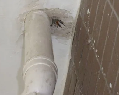 鹤庆漏水检测哪家好